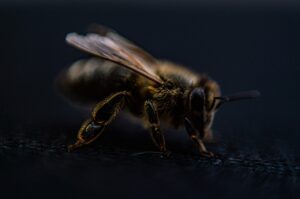 敏感肌の脱毛に関するカウンセリングでよくある質問の例は？