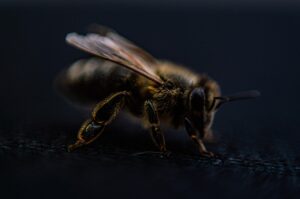敏感肌でも脱毛は整形中に可能なのか？