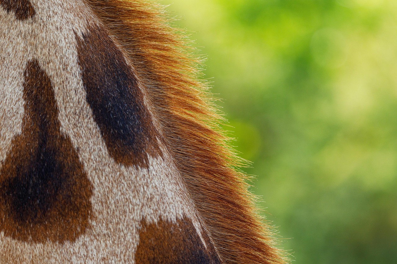 敏感肌の人がワキ脱毛で感じる痛みを軽減する方法は？