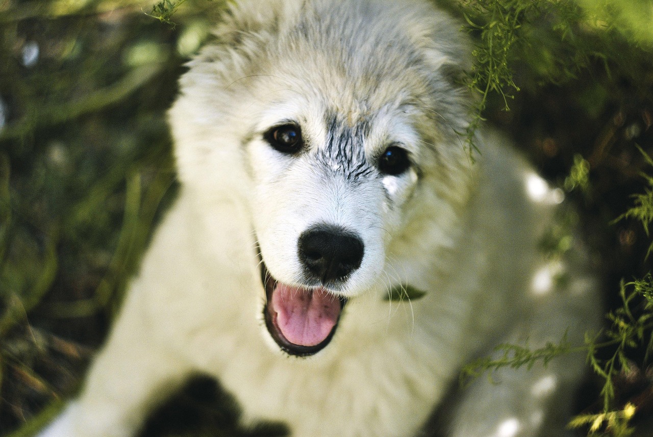 敏感肌向けの脱毛で学割があるサロンはどこ？